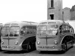 AEC Regal IV 9821E Burlingham Seagull 1951 года (UK)